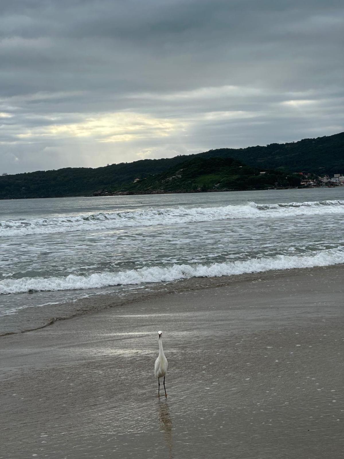 Appartamento Pousada Paraiso Ap Proximo Ao Centro Da Praia De Baixo Palhoça Esterno foto